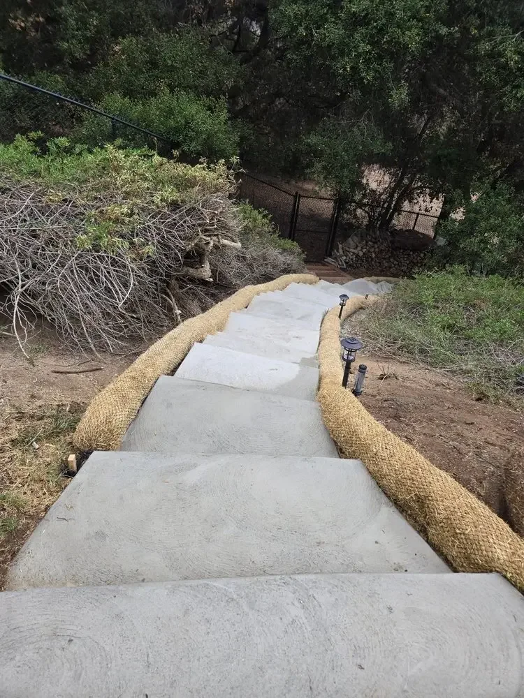 View down concrete garden stairs