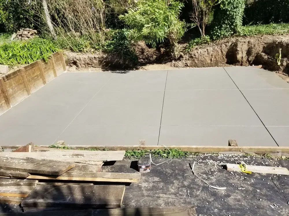 Broad concrete slab with a curved planted edge