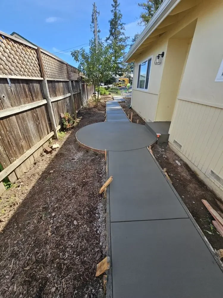 Winding concrete walkway through a side yard